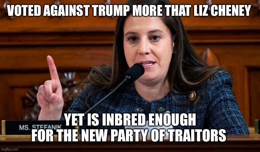 Elise Stefanik | VOTED AGAINST TRUMP MORE THAT LIZ CHENEY; YET IS INBRED ENOUGH FOR THE NEW PARTY OF TRAITORS | image tagged in elise stefanik | made w/ Imgflip meme maker