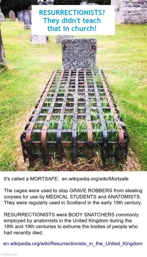 Uh ... exactly WHAT was your last job? ... | RESURRECTIONISTS?
They didn't teach
that in church! It's called a MORTSAFE:  en.wikipedia.org/wiki/Mortsafe
 
The cages were used to stop GRAVE ROBBERS from stealing
corpses for use by MEDICAL STUDENTS and ANATOMISTS.
They were regularly used in Scotland in the early 19th century.
 
RESURRECTIONISTS were BODY SNATCHERS commonly
employed by anatomists in the United Kingdom during the
18th and 19th centuries to exhume the bodies of people who
had recently died. en.wikipedia.org/wiki/Resurrectionists_in_the_United_Kingdom | image tagged in grave,dark humor,history,resurrection,rick75230 | made w/ Imgflip meme maker