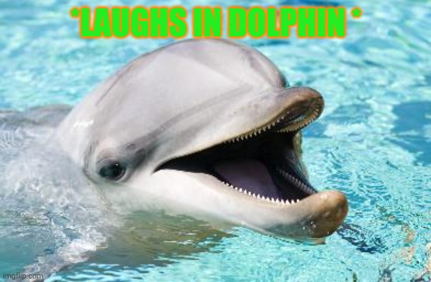 Miami dolphins fans be like | *LAUGHS IN DOLPHIN * | image tagged in dumb joke dolphin,memes | made w/ Imgflip meme maker