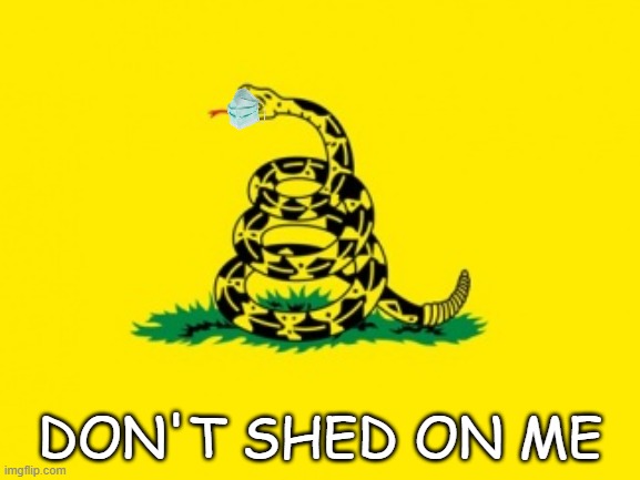 Gadsden Flag | DON'T SHED ON ME | image tagged in gadsden flag | made w/ Imgflip meme maker