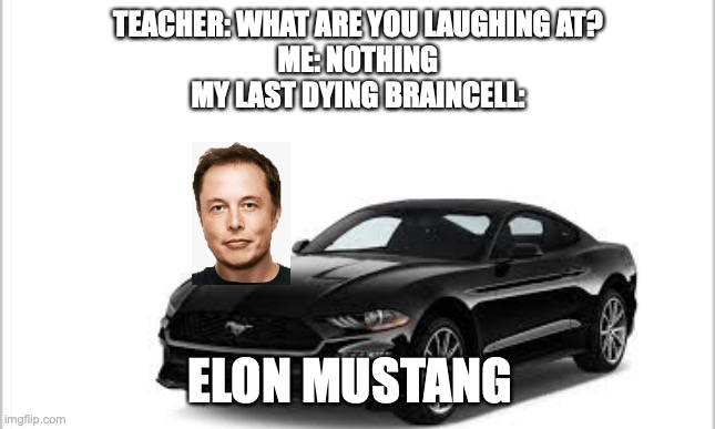 My 10k meme post | TEACHER: WHAT ARE YOU LAUGHING AT?
ME: NOTHING
MY LAST DYING BRAINCELL:; ELON MUSTANG | image tagged in mustang,elon musk,memes,funny,funny memes | made w/ Imgflip meme maker