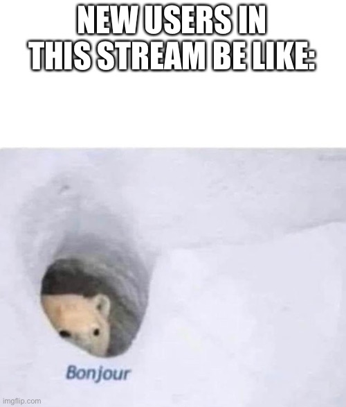 Bonjour | NEW USERS IN THIS STREAM BE LIKE: | image tagged in bonjour | made w/ Imgflip meme maker