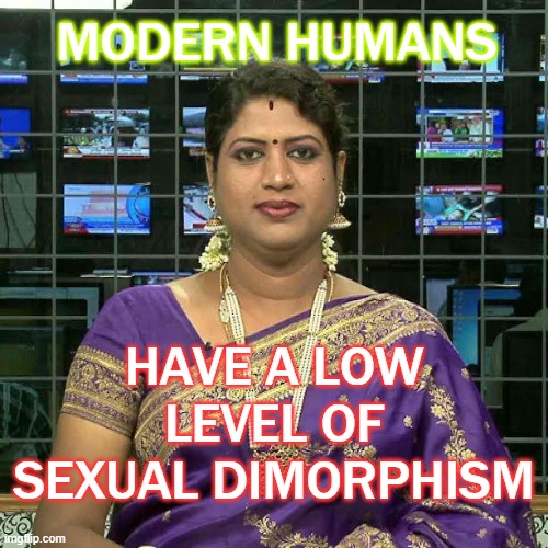 Modern humans have a low level of sexual dimorphism | MODERN HUMANS; HAVE A LOW LEVEL OF SEXUAL DIMORPHISM | image tagged in transwoman padmini prakash | made w/ Imgflip meme maker