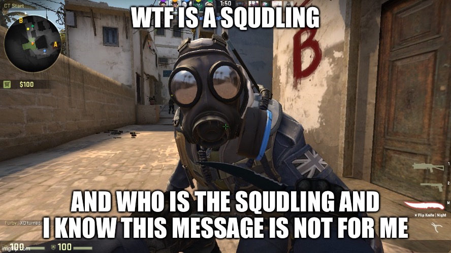 counter-terrorist talking to you | WTF IS A SQUDLING AND WHO IS THE SQUDLING AND I KNOW THIS MESSAGE IS NOT FOR ME | image tagged in counter-terrorist talking to you | made w/ Imgflip meme maker