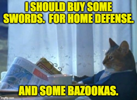 I Should Buy A Boat Cat Meme | I SHOULD BUY SOME SWORDS.  FOR HOME DEFENSE. AND SOME BAZOOKAS. | image tagged in memes,i should buy a boat cat | made w/ Imgflip meme maker