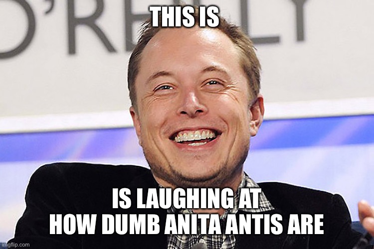 I think Elon should by Reddit and delete bvg | THIS IS; IS LAUGHING AT HOW DUMB ANITA ANTIS ARE | image tagged in elon musk | made w/ Imgflip meme maker