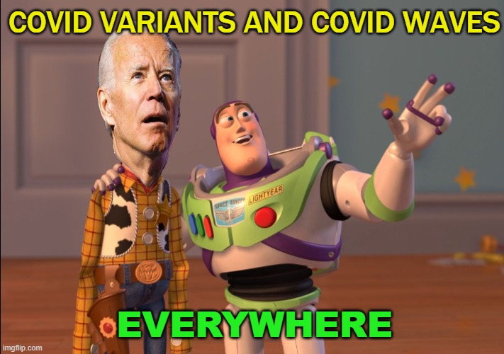 COVID Variants and Covid Waves Everywhere | COVID VARIANTS AND COVID WAVES; EVERYWHERE | image tagged in x x everywhere | made w/ Imgflip meme maker
