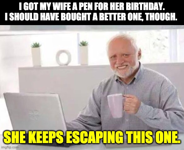 Pen | I GOT MY WIFE A PEN FOR HER BIRTHDAY. I SHOULD HAVE BOUGHT A BETTER ONE, THOUGH. SHE KEEPS ESCAPING THIS ONE. | image tagged in harold | made w/ Imgflip meme maker