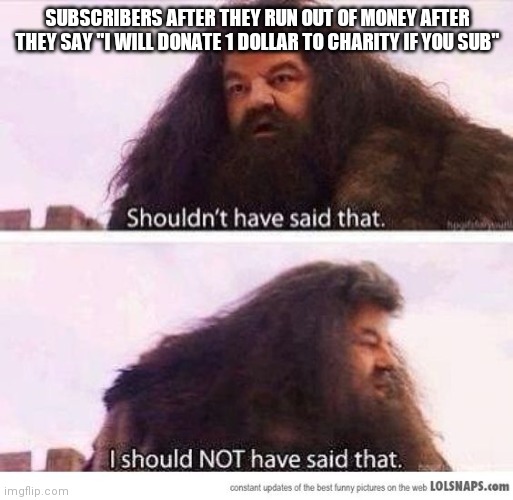 Gimme Money pls | SUBSCRIBERS AFTER THEY RUN OUT OF MONEY AFTER THEY SAY "I WILL DONATE 1 DOLLAR TO CHARITY IF YOU SUB" | image tagged in i shouldn't have said that | made w/ Imgflip meme maker
