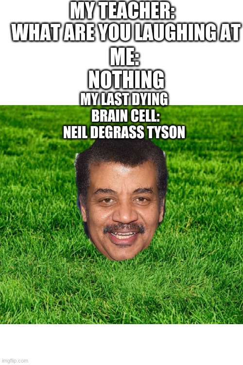 MY TEACHER: 
 WHAT ARE YOU LAUGHING AT; ME:
 NOTHING; MY LAST DYING
 BRAIN CELL:
NEIL DEGRASS TYSON | image tagged in blank white template | made w/ Imgflip meme maker