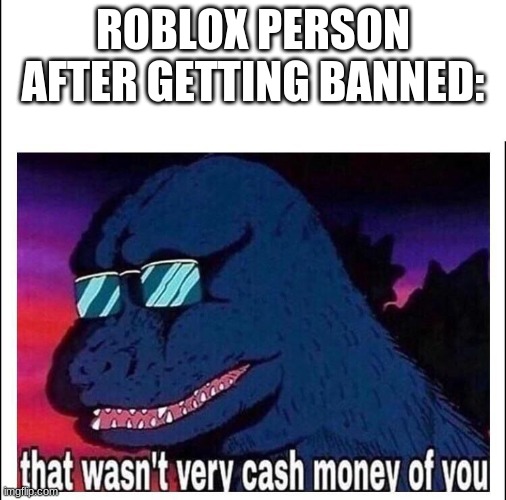 That wasn’t very cash money |  ROBLOX PERSON AFTER GETTING BANNED: | image tagged in that wasn t very cash money | made w/ Imgflip meme maker