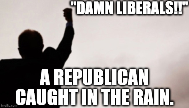 The Republican Melt-Down Continues. | "DAMN LIBERALS!!"; A REPUBLICAN CAUGHT IN THE RAIN. | image tagged in republicans,liberals,conservatives,democrats,stupid,gop | made w/ Imgflip meme maker