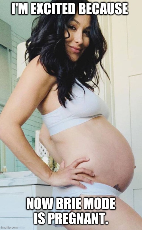 Pregnant Brie Mode | I'M EXCITED BECAUSE; NOW BRIE MODE IS PREGNANT. | image tagged in pregnant brie bella | made w/ Imgflip meme maker