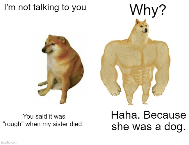 Rough death. | I'm not talking to you; Why? You said it was "rough" when my sister died. Haha. Because she was a dog. | image tagged in memes,buff doge vs cheems | made w/ Imgflip meme maker