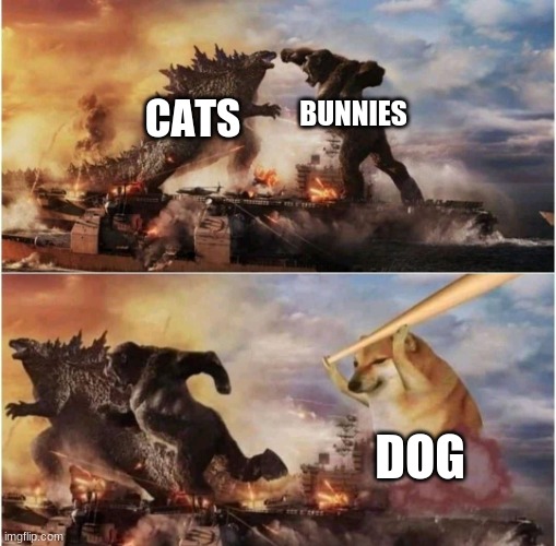 Dog | CATS; BUNNIES; DOG | image tagged in kong godzilla doge | made w/ Imgflip meme maker