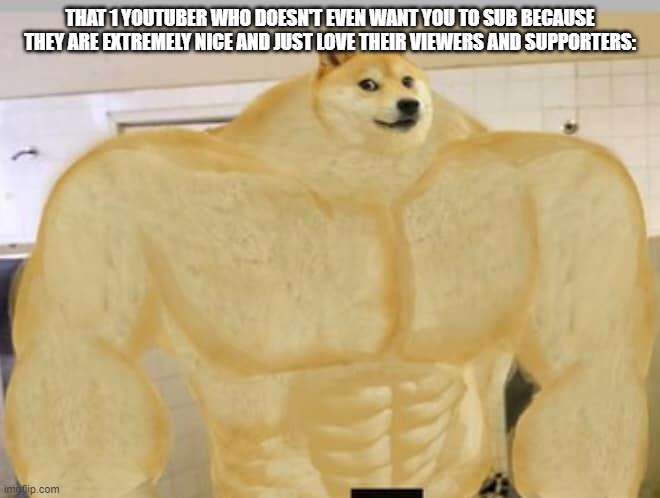 Buff Doge | THAT 1 YOUTUBER WHO DOESN'T EVEN WANT YOU TO SUB BECAUSE THEY ARE EXTREMELY NICE AND JUST LOVE THEIR VIEWERS AND SUPPORTERS: | image tagged in buff doge | made w/ Imgflip meme maker