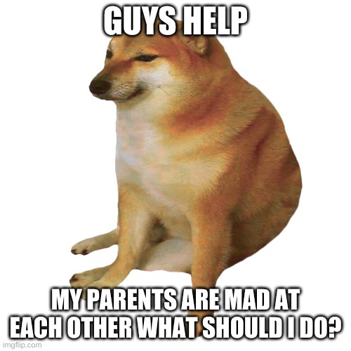 help :( | GUYS HELP; MY PARENTS ARE MAD AT EACH OTHER WHAT SHOULD I DO? | image tagged in cheems,parents | made w/ Imgflip meme maker