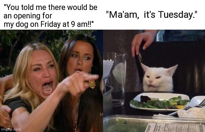 Dummy | "You told me there would be
an opening for my dog on Friday at 9 am!!"; "Ma'am,  it's Tuesday." | image tagged in memes,woman yelling at cat | made w/ Imgflip meme maker
