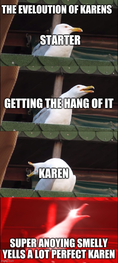 Inhaling Seagull Meme | THE EVELOUTION OF KARENS; STARTER; GETTING THE HANG OF IT; KAREN; SUPER ANOYING SMELLY YELLS A LOT PERFECT KAREN | image tagged in memes,inhaling seagull | made w/ Imgflip meme maker