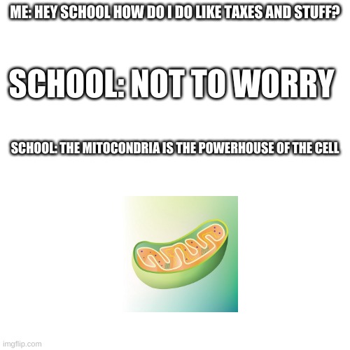 IF You NEVER HEARD THIS YOU HAD NO CHILDHOOD | SCHOOL: NOT TO WORRY; ME: HEY SCHOOL HOW DO I DO LIKE TAXES AND STUFF? SCHOOL: THE MITOCONDRIA IS THE POWERHOUSE OF THE CELL | image tagged in memes,blank transparent square | made w/ Imgflip meme maker