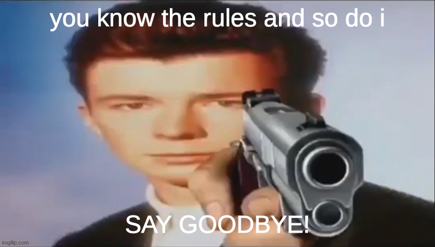 Say Goodbye | you know the rules and so do i SAY GOODBYE! | image tagged in say goodbye | made w/ Imgflip meme maker