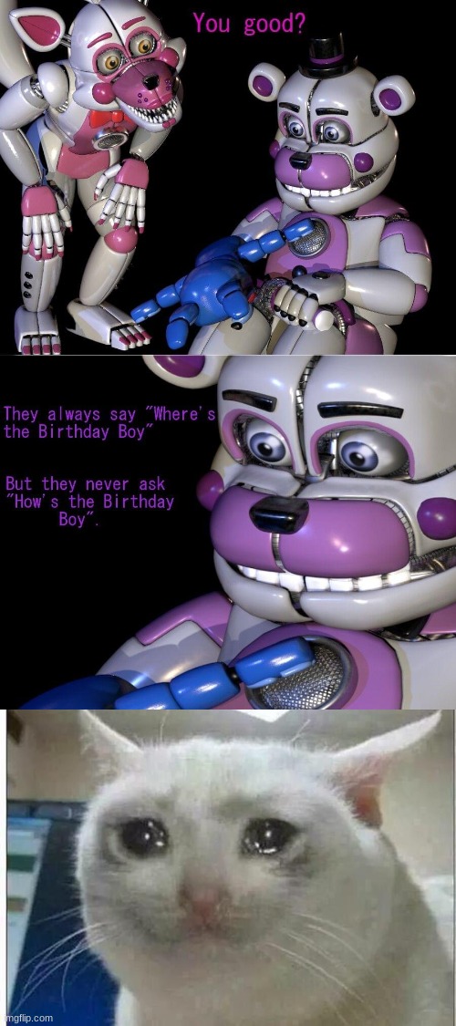 image tagged in crying cat,fnaf,five nights at freddys,five nights at freddy's,fnaf sister location | made w/ Imgflip meme maker