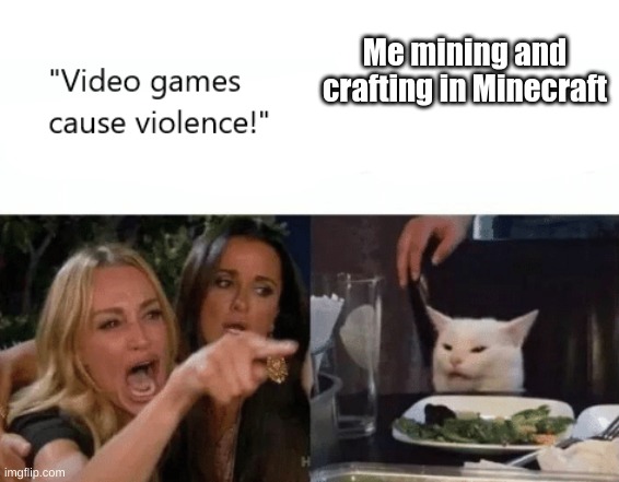 Wow just wow | Me mining and crafting in Minecraft | image tagged in video games cause violence,chill,just why | made w/ Imgflip meme maker
