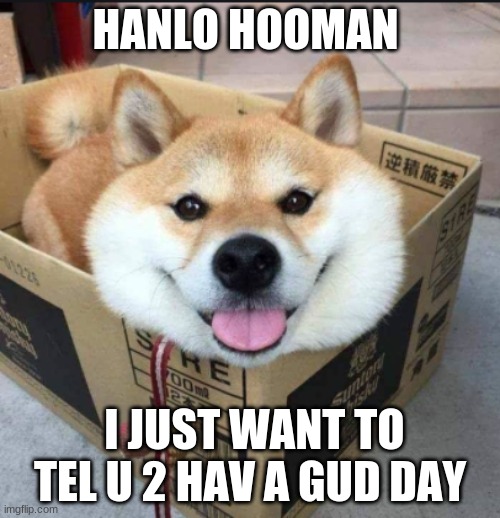 Shiba Wishes You A Good Day! | HANLO HOOMAN; I JUST WANT TO TEL U 2 HAV A GUD DAY | image tagged in memes,shiba inu,cute puppies | made w/ Imgflip meme maker