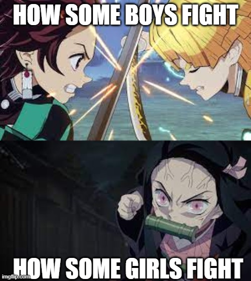 IM ZENISTU comment down below and tell me how u fight | HOW SOME BOYS FIGHT; HOW SOME GIRLS FIGHT | image tagged in fighting | made w/ Imgflip meme maker
