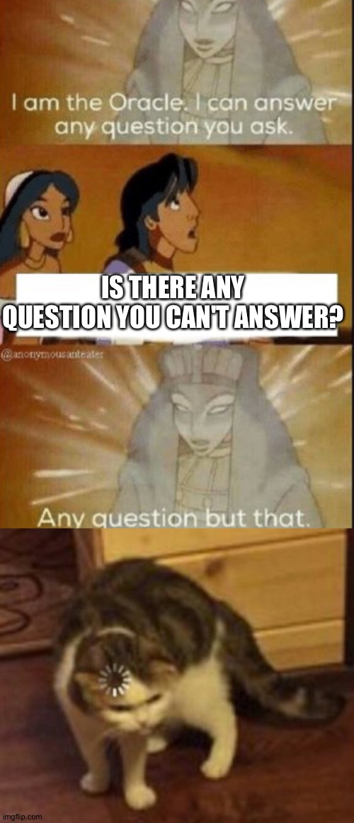 ... | IS THERE ANY QUESTION YOU CAN'T ANSWER? | image tagged in the oracle,loading cat,confusion | made w/ Imgflip meme maker