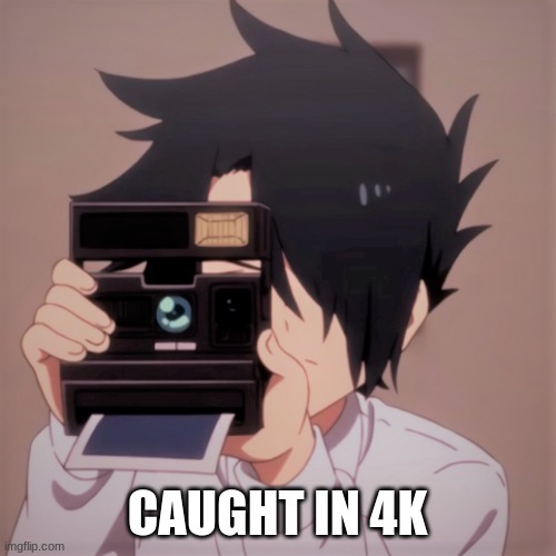 Caught in 4k | CAUGHT IN 4K | image tagged in caught in 4k | made w/ Imgflip meme maker