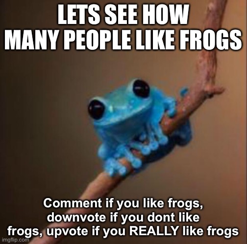 Frog | LETS SEE HOW MANY PEOPLE LIKE FROGS; Comment if you like frogs, downvote if you dont like frogs, upvote if you REALLY like frogs | image tagged in small fact frog | made w/ Imgflip meme maker
