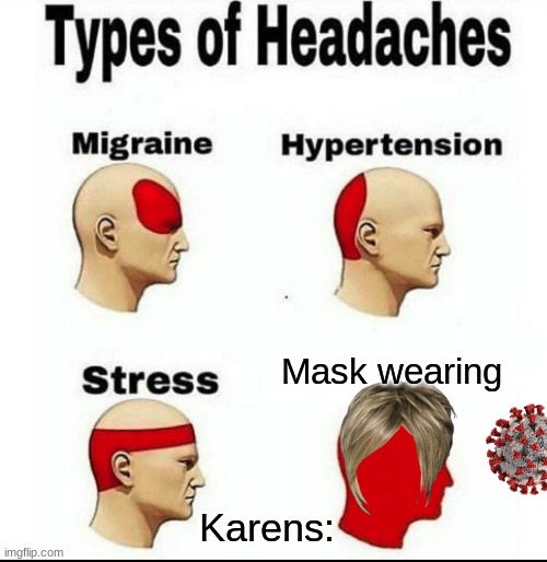 Karen Fever | Mask wearing; Karens: | image tagged in types of headaches meme | made w/ Imgflip meme maker