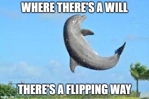 Flippign way | WHERE THERE'S A WILL; THERE'S A FLIPPING WAY | image tagged in flipper flipping | made w/ Imgflip meme maker