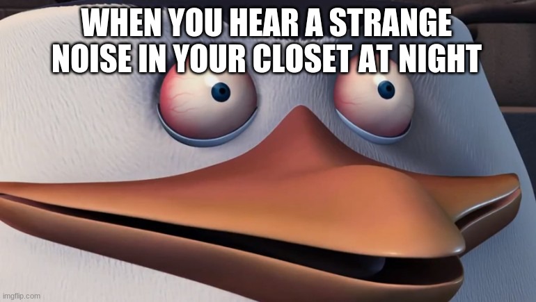 fear | WHEN YOU HEAR A STRANGE NOISE IN YOUR CLOSET AT NIGHT | image tagged in shook skipper | made w/ Imgflip meme maker