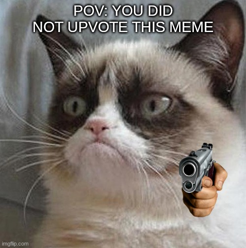 Angry cat | POV: YOU DID NOT UPVOTE THIS MEME | image tagged in angry cat | made w/ Imgflip meme maker