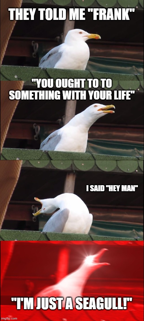 Being Frank | THEY TOLD ME "FRANK"; "YOU OUGHT TO TO SOMETHING WITH YOUR LIFE"; I SAID "HEY MAN"; "I'M JUST A SEAGULL!" | image tagged in memes,inhaling seagull | made w/ Imgflip meme maker