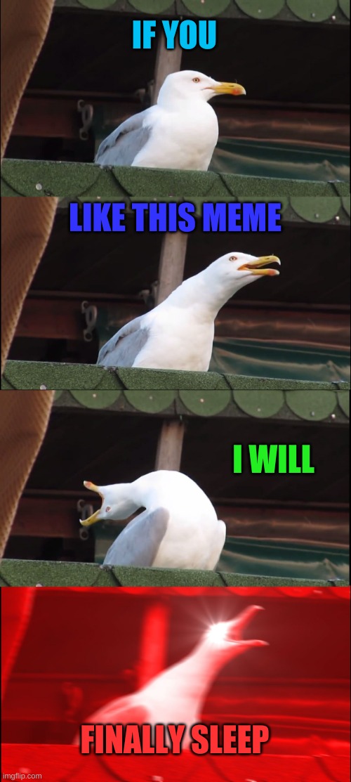 SLEEP | IF YOU; LIKE THIS MEME; I WILL; FINALLY SLEEP | image tagged in memes,inhaling seagull | made w/ Imgflip meme maker