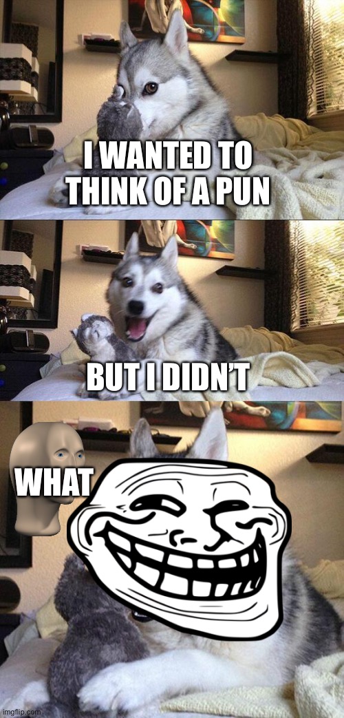 Bad Pun Dog Meme | I WANTED TO THINK OF A PUN; BUT I DIDN’T; WHAT | image tagged in memes,bad pun dog | made w/ Imgflip meme maker