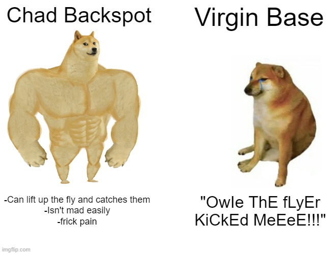 I still respect every person in the stunt. My bases just so happen to not be that great with pain. | Chad Backspot; Virgin Base; -Can lift up the fly and catches them
-Isn't mad easily
-frick pain; "OwIe ThE fLyEr KiCkEd MeEeE!!!" | image tagged in memes,buff doge vs cheems,cheerleaders | made w/ Imgflip meme maker