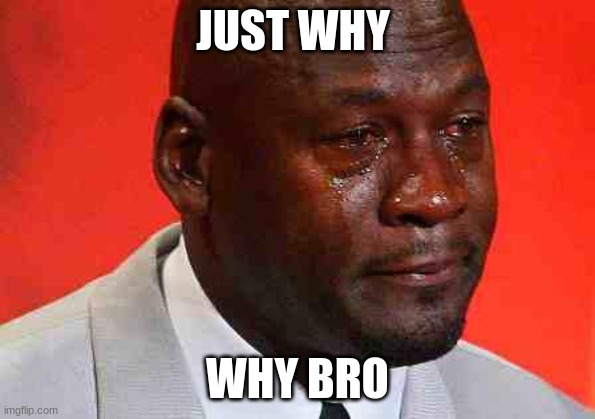 crying michael jordan | JUST WHY WHY BRO | image tagged in crying michael jordan | made w/ Imgflip meme maker