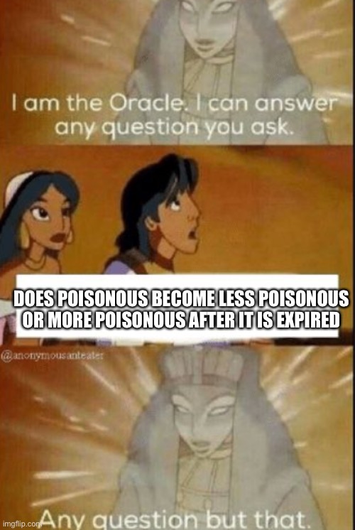 cant find the damn answer | DOES POISONOUS BECOME LESS POISONOUS OR MORE POISONOUS AFTER IT IS EXPIRED | image tagged in the oracle,memes | made w/ Imgflip meme maker