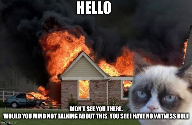 Burn Kitty Meme | HELLO; DIDN’T SEE YOU THERE.
WOULD YOU MIND NOT TALKING ABOUT THIS, YOU SEE I HAVE NO WITNESS RULE | image tagged in memes,burn kitty,grumpy cat | made w/ Imgflip meme maker