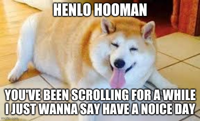 have a noice day |  HENLO HOOMAN; YOU'VE BEEN SCROLLING FOR A WHILE
I JUST WANNA SAY HAVE A NOICE DAY | image tagged in thicc doggo | made w/ Imgflip meme maker
