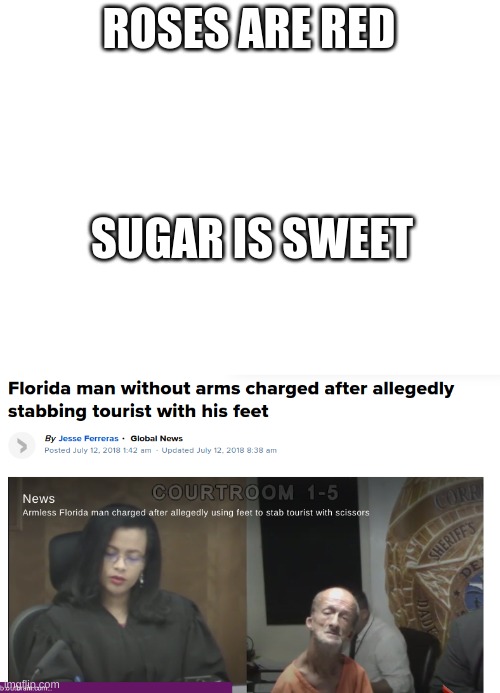 ROSES ARE RED; SUGAR IS SWEET | image tagged in blank white template | made w/ Imgflip meme maker