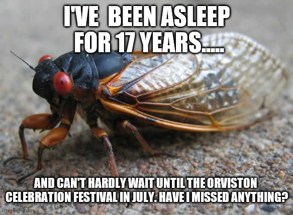 Cicada | I'VE  BEEN ASLEEP  FOR 17 YEARS..... AND CAN'T HARDLY WAIT UNTIL THE ORVISTON  CELEBRATION FESTIVAL IN JULY. HAVE I MISSED ANYTHING? | image tagged in cicada | made w/ Imgflip meme maker