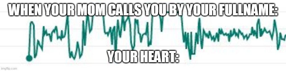 I'm ded | WHEN YOUR MOM CALLS YOU BY YOUR FULLNAME:; YOUR HEART: | image tagged in memes | made w/ Imgflip meme maker