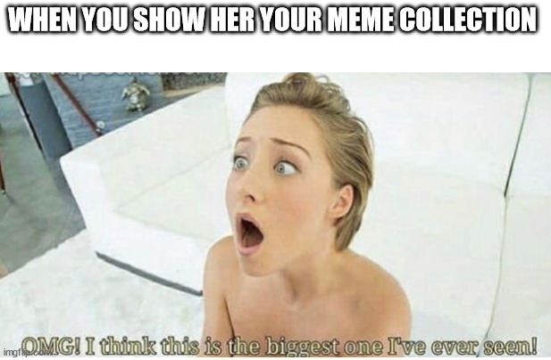 Meme collector | WHEN YOU SHOW HER YOUR MEME COLLECTION | image tagged in memes | made w/ Imgflip meme maker