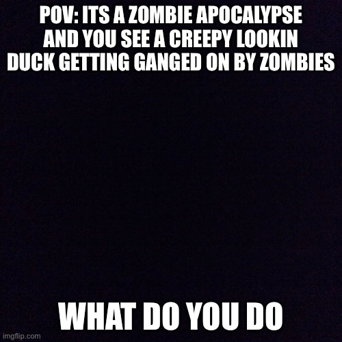 Black screen  | POV: ITS A ZOMBIE APOCALYPSE AND YOU SEE A CREEPY LOOKIN DUCK GETTING GANGED ON BY ZOMBIES; WHAT DO YOU DO | image tagged in black screen | made w/ Imgflip meme maker
