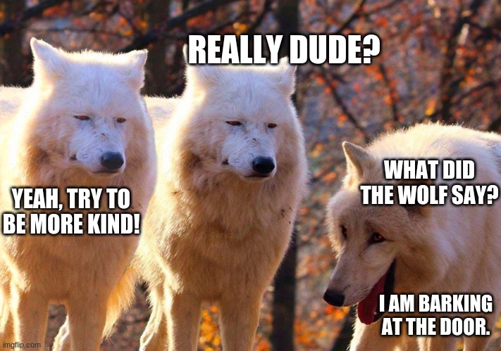 You dumb wolves | REALLY DUDE? WHAT DID THE WOLF SAY? YEAH, TRY TO BE MORE KIND! I AM BARKING AT THE DOOR. | image tagged in grump wolves | made w/ Imgflip meme maker